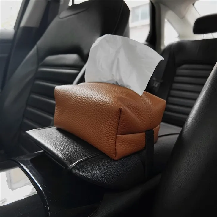car tissue case