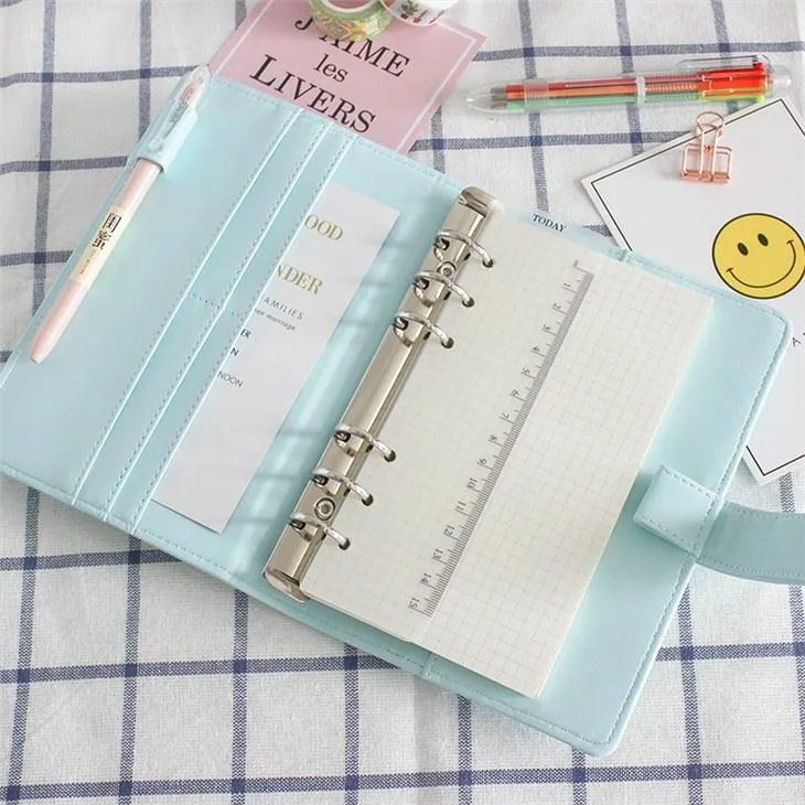 Cute binder diary